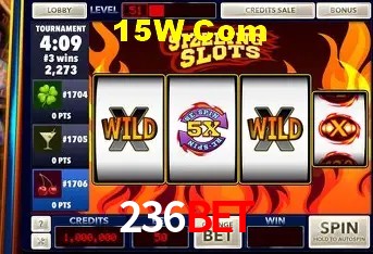 Security Systems 236Bet